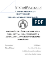 Tesis OBTENCIÓN DE CÉLULAS MADRE DE LA PULPA DENTAL.pdf