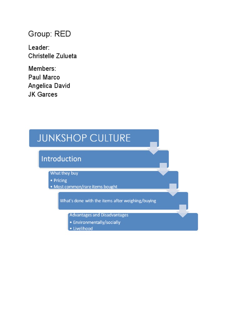 RED Group Leadership Overview | PDF