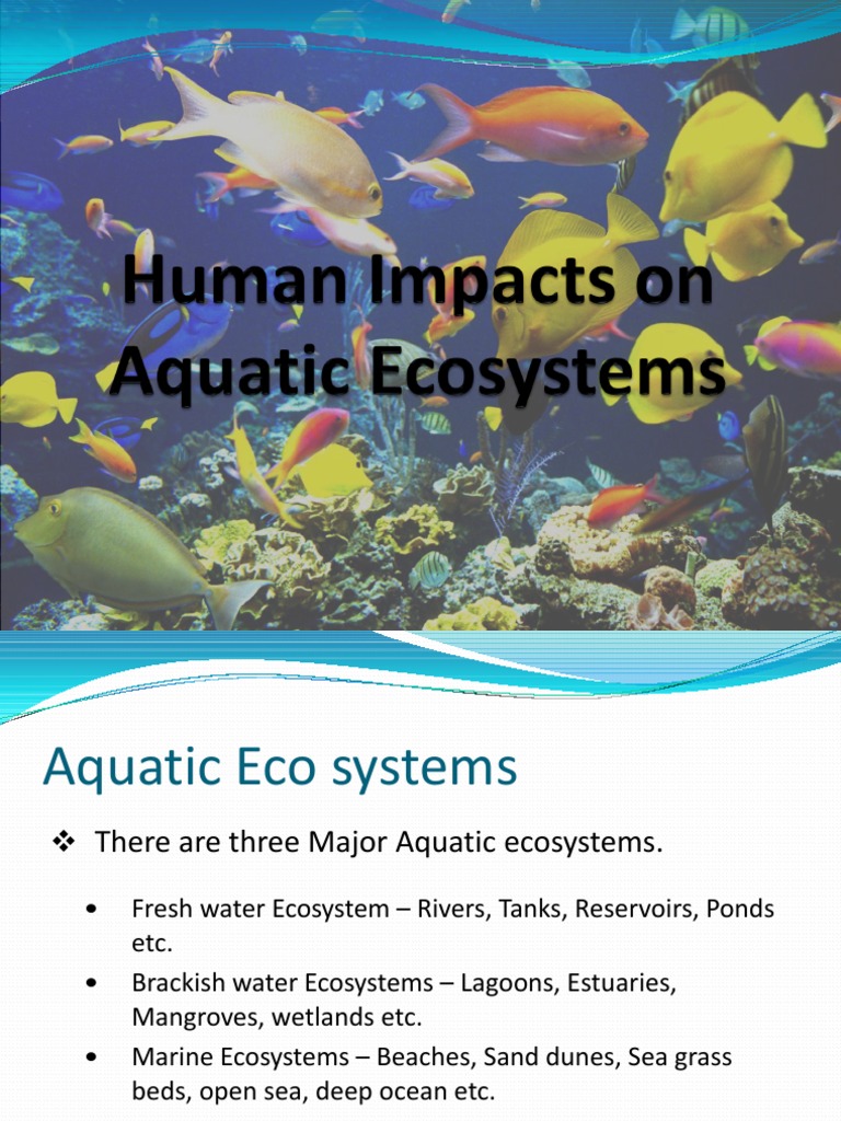 Human Impacts On Aquatic Ecosystems PDF Aquatic Ecosystem Human