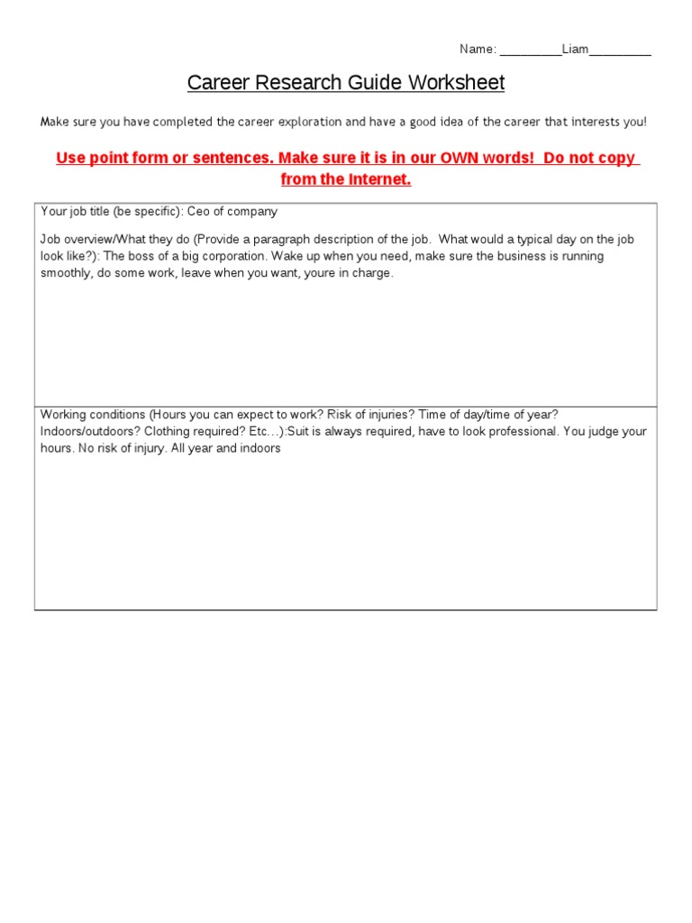 CEO Career Exploration Guide | PDF