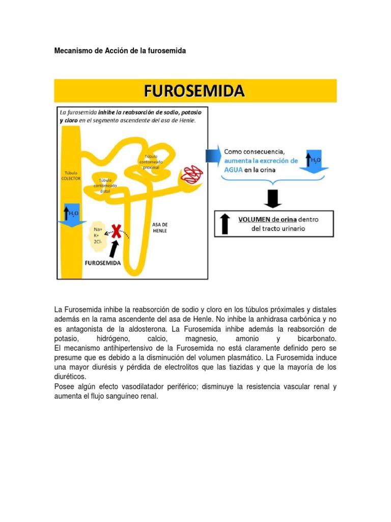 Mecanismo de Acción de La Furosemida | Hipertensión | Especialidades ...