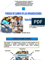 fuerzasdecambioexternaseinternas-110804100813-phpapp01