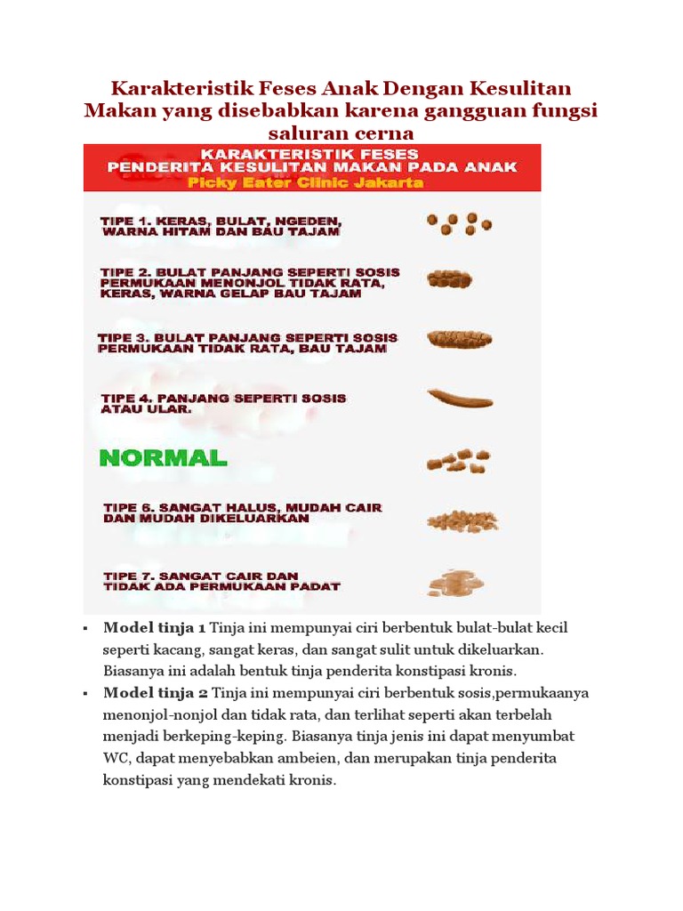 Karakteristik Feses