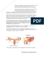 Puntualidad Es Una Actitud Humana Considerada en Muchas Sociedades Como La Virtud de Coordinarse Cronológicamente Para Cumplir Una Tarea Requerida o Satisfacer Una Obligación Antes o en Un Plazo