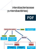 Aula Enterobacteriaceae PDF