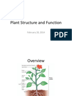 Plants Overview