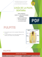 patologia bucal