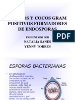 Bacilos y Cocos Gram Positivos Formadores de Endosporas