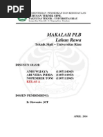 Download makalah lahan rawa by Ary Indra SN223686086 doc pdf