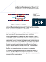 El Transporte de Levitación Magnética