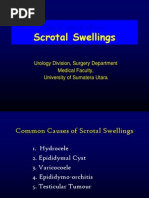 scrotal swelling