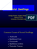 scrotal swelling