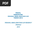 Download Profil Pali Final4 by Muhammad Yani SN223703202 doc pdf
