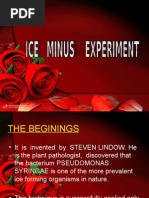 Download Ice Minus Experiment by rgvendran SN22370922 doc pdf