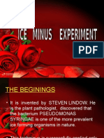 Ice Minus Experiment