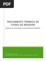 Modelos Matemáticos de Tratamento Térmico de Madeiras