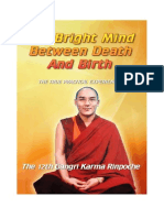 The Bright Mind Between Death and Birth by The 12th Gangri Karma Rinpoche