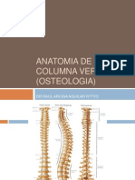1 Anatomia de Columna Vertebral (Osteologia)