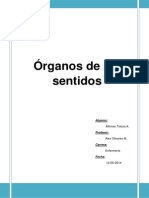 Organos de Los Sentidos