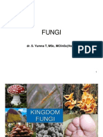 22 Fungi ppt2