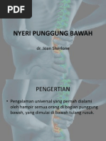 Leaflet LBP
