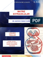 Tema 9 Matriz Extracelular