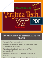pan-african belize vtsoc 2014 presentation