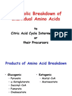 Metabolic Breakdown of Individual Amino Acids: To Citric Acid Cycle Intermediates or Their Precursors