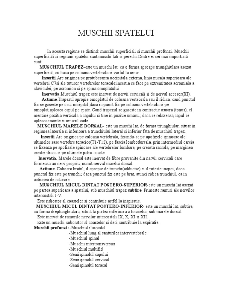Muschii Spatelui | PDF