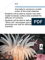 Surface Area of Small Intestine 2