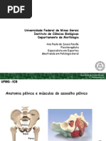 Aulax Pelveemusculodoassoalhopelvico 100503174232 Phpapp02