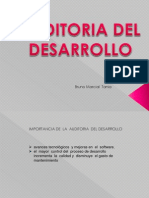 Auditoria Del Desarrollo