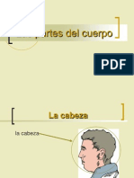 Partes Del Cuerpo - Material de Apoyo 1b