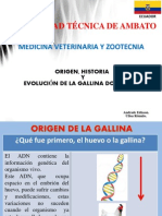 Origen, Evolucion e Historia de La Gallina Domestica