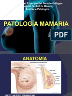 Anatomiapatologicademamas 130720213450 Phpapp02