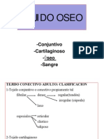 Clase 7. Tejido Oseo