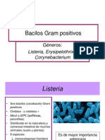 PDF Bacilos Gram Positivo No Esporulados Aerobios