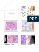 Breast Pathology & Investigations