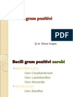 Curs - bacili gram(+)