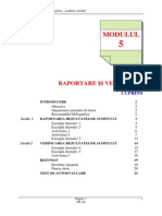 Raportarea Rezultateloraudit