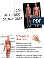 1º Aula Anatomia e Fisiologia