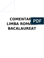 Comentarii Romana Bacalaureat