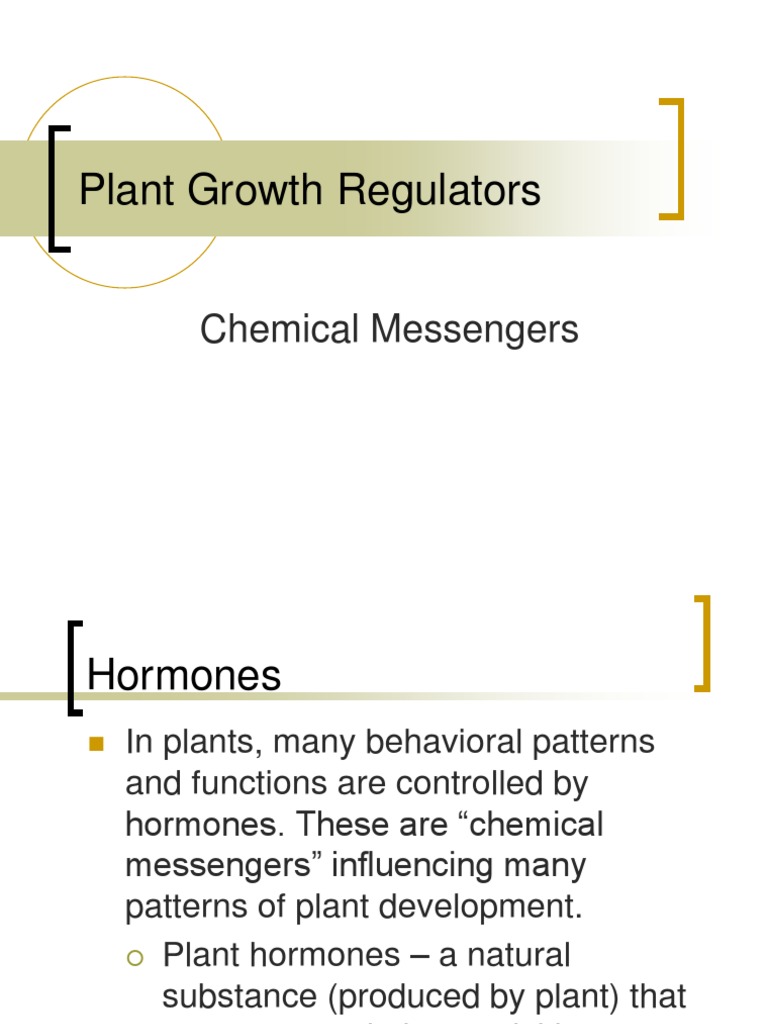 Plant Growth Regulators PDF Plant Hormone Auxin