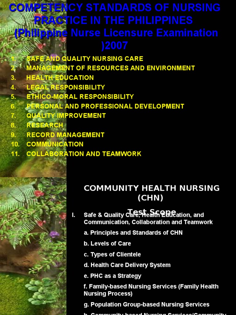 National nursing core competency standards picture