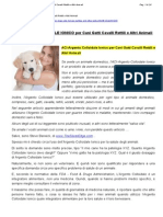 31 - ACI - Argento Colloidale Ionico Per Cani - Gatti - Cavalli - Rettili e Altri Animali
