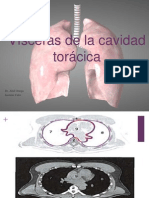 Visceras de La Cavidad Toracica