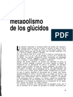 Metabolismo de Los Glucidos