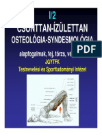 02 BSC Anatomia Csont Izulettan