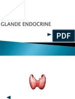 Glandeendocrine Tiroida