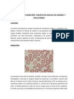 Fisiologia en Hematies, Fisiopatológicas en Anemia y Policitemia